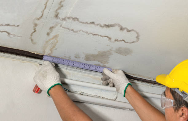 Reliable Water Damage Repair contractor in Muir, MI by Hirex Water Damage